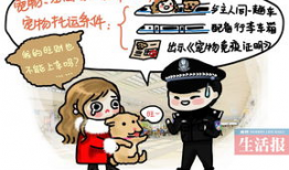 女警漫画,漫画中的正义守护者